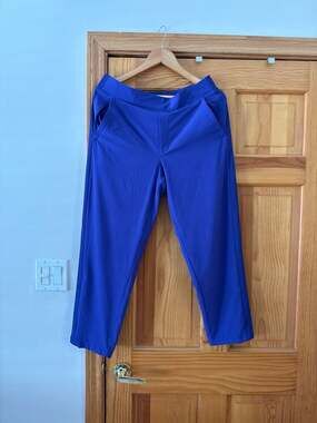 Athleta Brooklyn Lined Ankle Pant in Purple Size 12 Petite